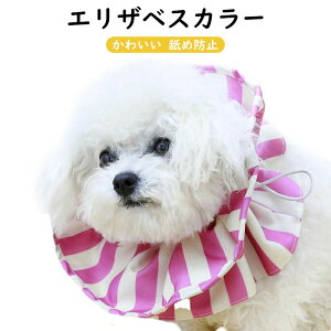  킢 rߖh~  p lRp L ی tt h~ \ GUxXJ[ pPA \tg y