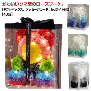 t[Mtg Mtg u v[g JXj LO ʂ  ̓ a [Y ԑ [YxA