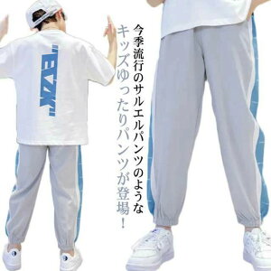 ڐG⊴f  WjA Y{ XEFbgpc ̎q n C LbY  160 ⊴pc q W[W