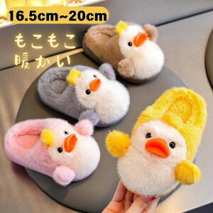 Xbp ~ N [V[Y ₷ ~p p j̎q  C  ̎q 킢  LbY