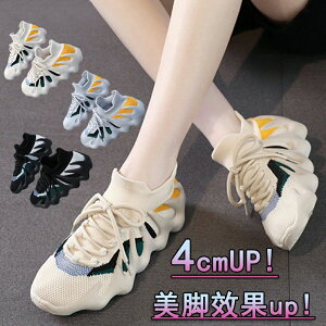 +  u[c V[Y ^C gAbv C Xj[J[ RRibcV[Y fB[X Xj[J[ fB[Xpv