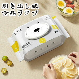 oHibv100ƃvX`bNJb^[t HiJo[p̐LkXgb`bvtB Ⓚ?①p̌œdq