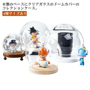 NAP[X tBMA RNVP[X h[ ؐx[X KX tBMAP[X ~jJ[ h[ fBXvCP[X