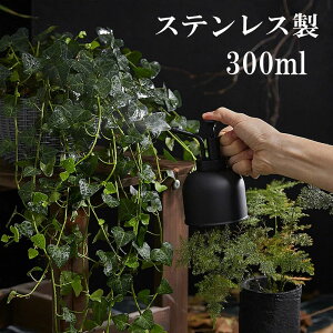 K[f g  IV |v ~XgXv[ Xv[  300ml XeX   W[ 傤