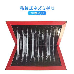 1i20j S vV[gA ϐV[g lY~ގ SlY~߂