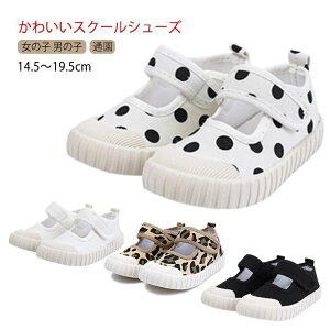 V[Y LoX qE xr[  }WbNe[v ΂ LbY qC LbY qǂ  hbg Xj[J[