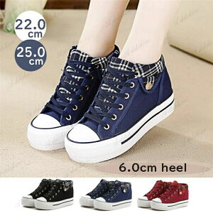 Cq[ Xj[J[ ₷  ʊw Xj[J[C heel Xj[J[ q[  fB[X 6cm Xj[J[ʋC