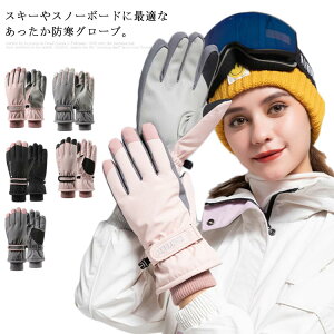 |GXeDn   X}zΉ h J ]  fB[X N ׂ~ g h h ۉ O[u