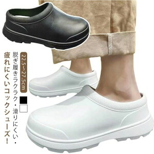  ~[C ϐ yzyzy Ȃ RbNV[Y  T_ ϖ EVAf Lb` hL ܐی R