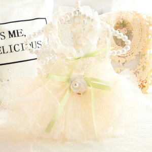 Lp  EFfBOhX t ^ 킢 O[  vZX ^