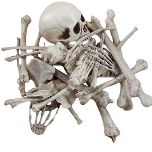 XPg ͌^ i W f A l nEB 荜  z[ A[ 28_Zbg [ H vX`bN hN