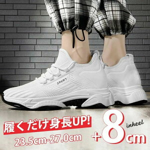 8 V[NbgV[ V[NbgC  H _  Xj[J[ q[ ʋ ɂ t Xj[J[ zCg 