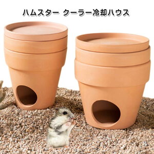 熱中症対策 ハム ハムスター ハムスターハウス 夏涼感 ハウス クーラー 爽やかプレート 日陰 小型ペット用 小動物の巣 冷却 保冷