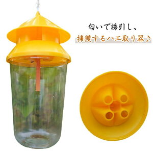 ʎ qn gbv ߊl nG CGoG NoG OnGgbv nG쏜 nGߊl 2Zbg nGgbv nG