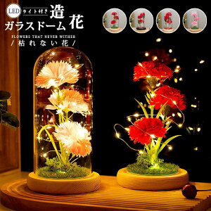  KXh[ LO/a vU[uht[ LEDCg LL J[l[V ̓ 3 v[g 