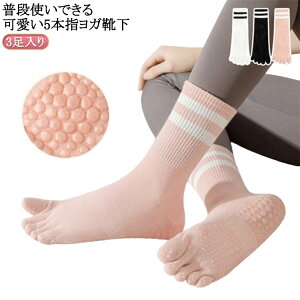  Ƃ X|[c K\bNX  C ig H   ~ 5{w\bNX seBX ~ߕt fB[X