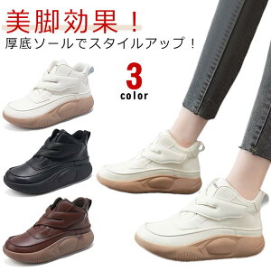  V[Y Xb| Xj[J[ RtH[gV[Y Xj[J[ Xb| O   fB[X