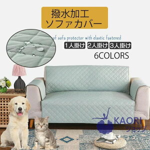 �\�t�@�[�J�o�[ �\�t�@�[�}�b�g 2�l�|�� �������H �\�t�@�J�o�[ ��l�|�� �k�� ���n �\�t �S6�F �\�t�@�[�J�o�[ �I���� 3�l�|��