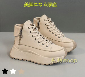 Xj[J[ H t nCJbg _炩 u[c r V[Y  Xj[J[u[c fB[X iV^Cvoj Xj[J[