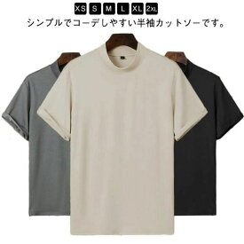 ゴルフウェア ハイネック Tシャツ メンズ 半袖 無地 トップス カットソー スポーツ ティーシャツ モックネック カジュアル ランニング ジム 運動会 大きいサイズ