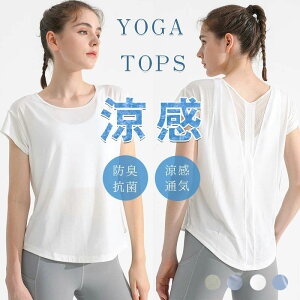 KTVc EFA seBX KEFA  ʋC KgbvX  fB[X ̌^Jo[z y gbvX Lk