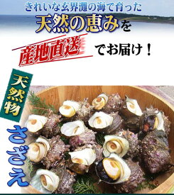 天然物サザエ　　5kg　　　壱岐近海で獲れた天然物サザエ　　玄界灘に浮かぶ島　壱岐から直送！！