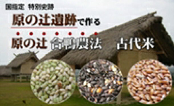 合鴨農法　古代米