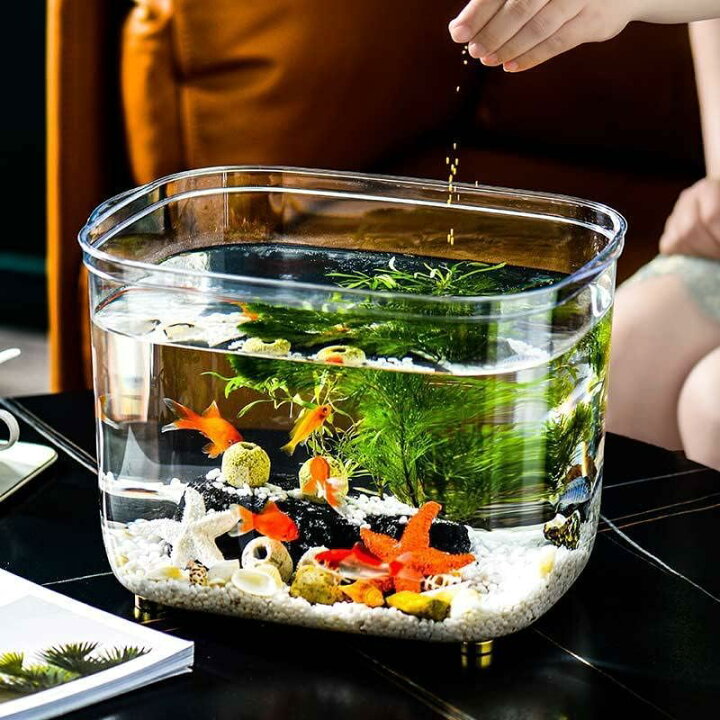 楽天市場】テラリウム 観葉植物 金魚鉢 水槽 飼育水槽 プラスチック 