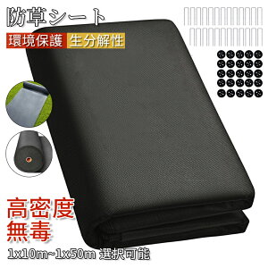 hV[g UsYƍەt ڂV[g  ϗpN5N Gh~ V[g ubN