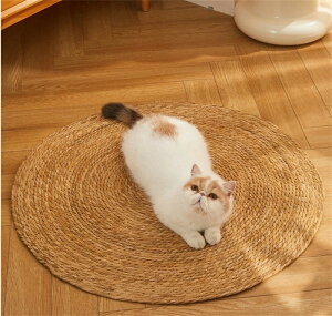 ybgN[}bg VRf ܌ L   L܂Ƃ ܂Ƃ}bg ܌ }bg ϋv tȒP XgX Ƌی Lp ybgpi ΍