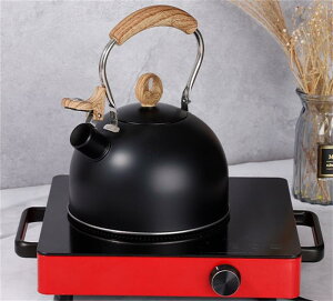 2.5L JPg ₩  ih ₩ Pg  XeX L Pg ؖڃnh eB[|bg e ۉ Ƒp KXR IHΉ 킢   