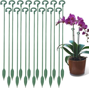 Ax 15{Zbg Ԃ |x xI t[X^h ϗtx Ԏx K[fjOx RRXeBbN Ux 鐫Ap Ӓ ϏܐAEؗp t[X^h 