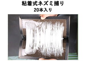 �S�����l�Y�~�߂� �v���V�[�gA 1���i20�����j �ϐ����V�[�g �S���� �l�Y�~�ގ�