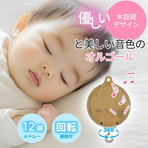 IS[ V Q xr[pi   ]@\  Fr[ ݂艺 xbh qoYj