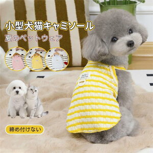    Ђ  N[xXg ^p ڐG⊴ ʋC z тɂ w[ht U  pEFA ^Ngbv