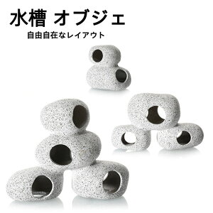  IuWF B   ANAE u VF^[ I[ig Gr _J