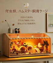 楽天市場】大型 爬虫類 ケージ（ケージ｜小動物用品）：ペット・ペット 