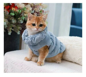  ~ R[g WPbg {A Ȃ hbOEFA _ExXg 킢 ̕ ȕR[g H~ ybg p[J[  h? ےg {A ΍ ^ ^