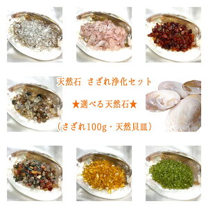 y|Cg20{z p[Xg[ VR 򉻃Zbg IׂVR΁i100gEVRLMj  [YNH[c ԃmE yhbg ylR|X֕sz