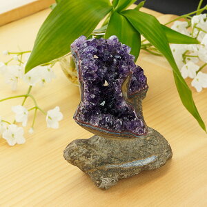 y^CZ[z yPAz AI AWXgƗo΂̃R{ 蒤  JE\ 277g VR p[Xg[ CeA u G  p[vJ[ O[J[