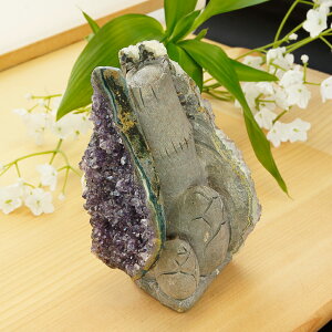 y^CZ[z AI AWXgƗo΂̃R{ 蒤  ^PmR 740g VR p[Xg[ CeA u G  p[vJ[ O[J[