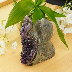 y^CZ[z AI AWXgƗo΂̃R{ 蒤  CJ 346g VR p[Xg[ CeA u G  p[vJ[ O[J[