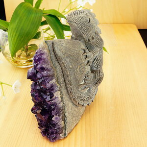 y^CZ[z AI AWXgƗo΂̃R{ 蒤  gJQ 670g VR p[Xg[ CeA u G  p[vJ[ O[J[