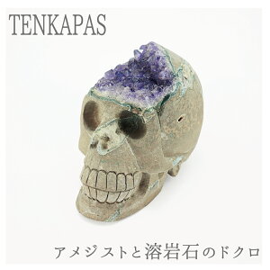 y|Cg20{z AI AWXgƗo΂̃R{ 蒤  hN 1066g VR p[Xg[ CeA u G  p[vJ[ O[J[