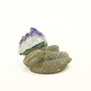 y^CZ[z AI AWXgƗo΂̃R{ 蒤 wr 534g  VR p[Xg[ CeA u G  p[vJ[ O[J[