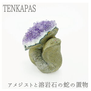 y^CZ[z AI AWXgƗo΂̃R{ 蒤 wr 544g  VR p[Xg[ CeA u G  p[vJ[ O[J[