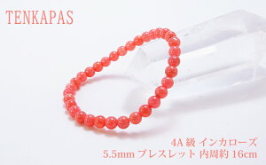 y|Cg20{z 4A CJ[Y5.5mm uXbg 16cm ye1_z p[Xg[ VR r ANZT[ fB[X Y r[Y    JWAfUC 