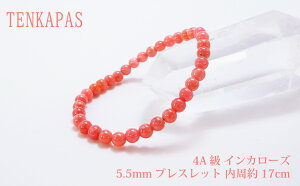 y|Cg20{z 4A CJ[Y5.5mm uXbg 17cm ye1_z p[Xg[ VR r ANZT[ fB[X Y r[Y    JWAfUC 