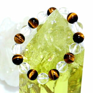 y^CZ[z CG[^CK[AC×10mmuXbg(1F1) p[Xg[ VR r ANZT[ fB[X Y r[Y    JWAfUC t@bV