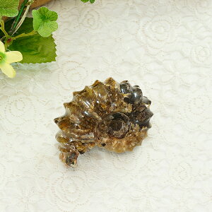 y|Cg20{z AiCg 66gCeAXg[ u VR p[Xg[